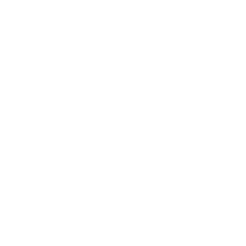 surf and travel logo