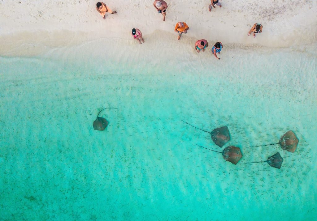 surf and travel vylety surfovani