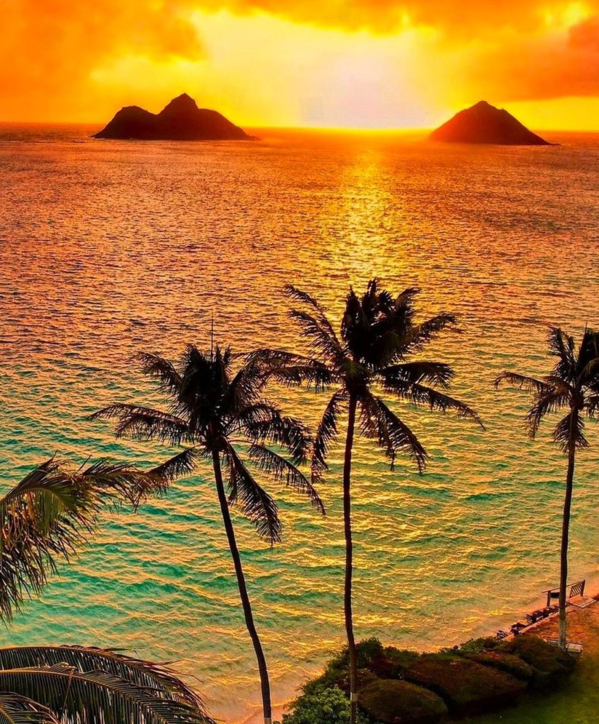 endless summer