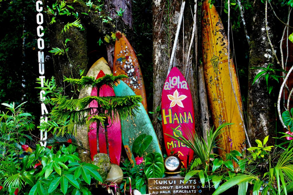 surf and travel vylety surfovani